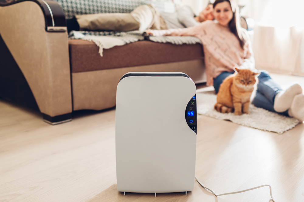 UV Air Purifier Basics and Benefits for Air Quality