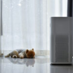 HVAC air quality shedding pets