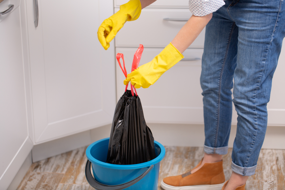 DIY Garbage Disposal Cleaning Methods to Consider