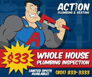$33 whole house plumbing inspection