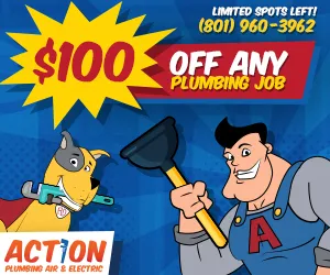Get $100 Off Any Plumbing Job Including Regular Plumbing Maintenance
